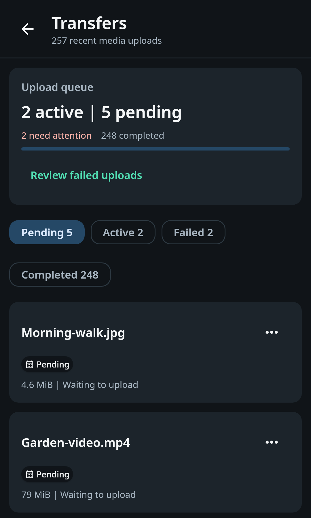 nati.ve Android media transfer center with pending, uploading, failed, succeeded, changed, and cloud-only records grouped by actionable status